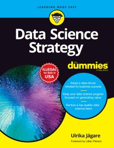 Data Science Strategy For Dummies