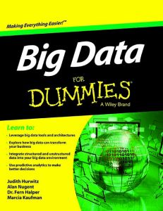 Big Data for Dummies