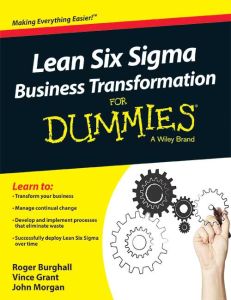 Lean Six Sigma Business Transformation for Dummies