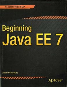 Beginning Java EE 7